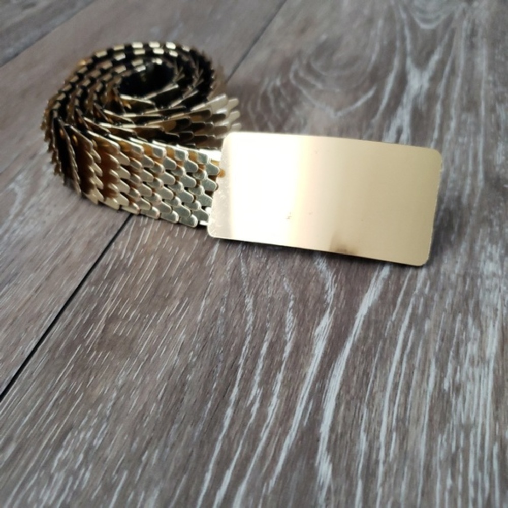 Gold feather belt